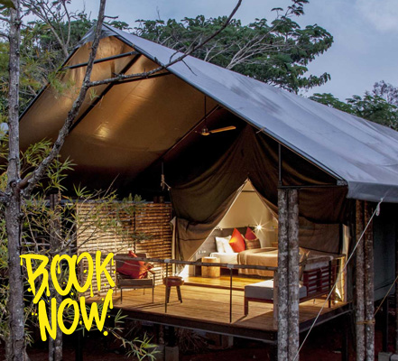 Book the Best  in JLR Kings Sanctuary
