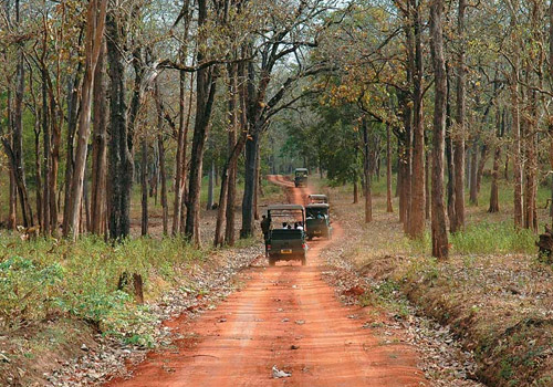 Activities in Kings Sanctuary